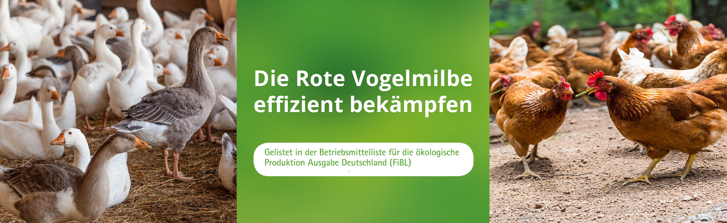 Landwirtschaft